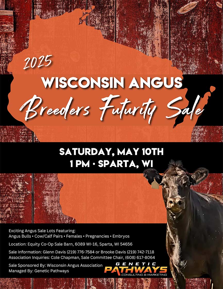 2025 Wisconsin Angus Breeders Futurity Sale